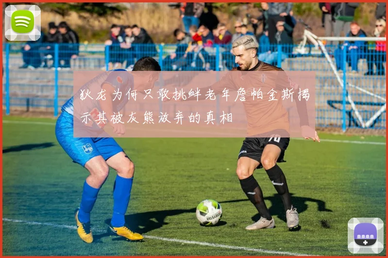 狄龙为何只敢挑衅老年詹帕金斯揭示其被灰熊放弃的真相